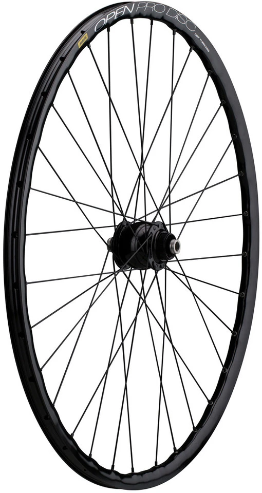 Delux 12 + Open Pro UST Disc + Sapim Race 28" Laufrad